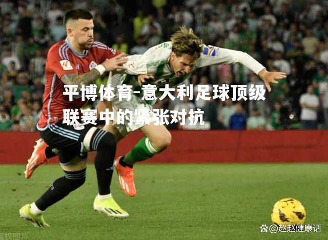 平博体育-意大利足球顶级联赛中的紧张对抗