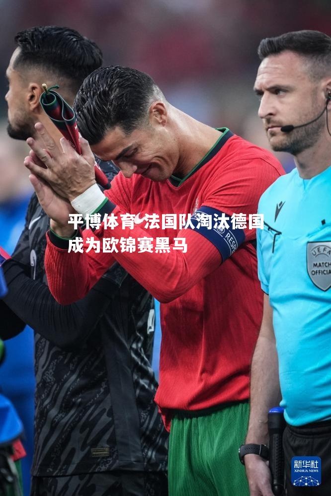 平博体育-法国队淘汰德国成为欧锦赛黑马