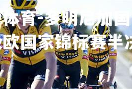 平博体育-多明尼加国家队晋级欧国家锦标赛半决赛