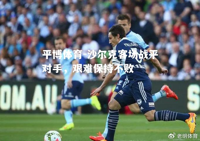 平博体育-沙尔克客场战平对手，艰难保持不败