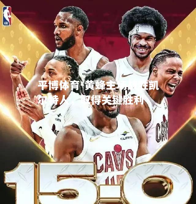 平博体育-黄蜂主场战胜凯尔特人，取得关键胜利