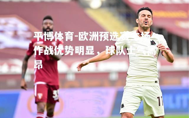 平博体育-欧洲预选赛主场作战优势明显，球队士气高昂