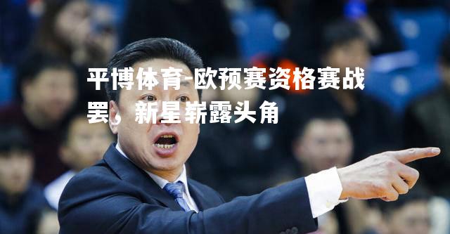 平博体育-欧预赛资格赛战罢，新星崭露头角