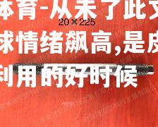 平博体育-从未了此文，累计失球情绪飙高,是皮耶罗小弟利用的好时候
