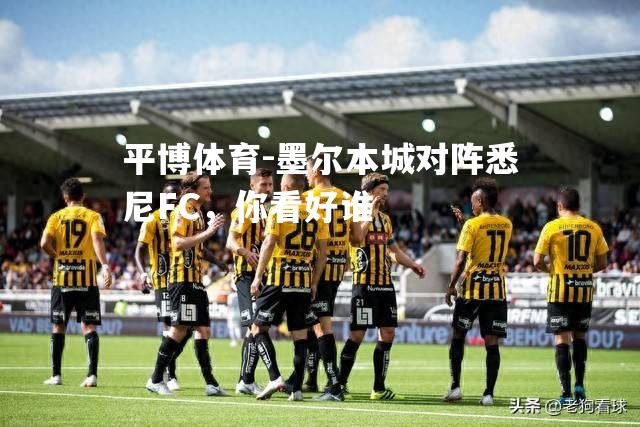 平博体育-墨尔本城对阵悉尼FC，你看好谁