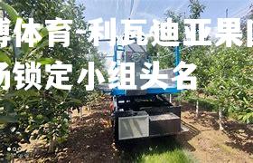 平博体育-利瓦迪亚果园在主场锁定小组头名